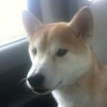Tom Buster - @tom.buster.9 - Instagram