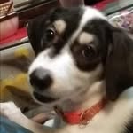tombuster - @tombuster_ - Instagram