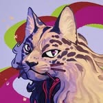 Tabby - @tombutch.png - Instagram