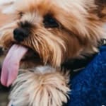 Tom Butchart - @tombutchart - Instagram