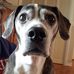 Tom Butz - Facebook