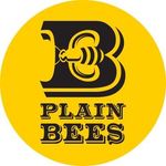 Tom Byerly - @plain_bees - Instagram