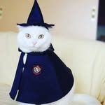 @tom.byers.wheeler - Instagram