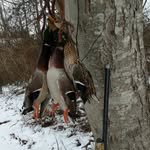 Tom Byers - @tombyers62 - Instagram