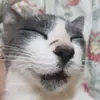 Tom Byers - @tombyers798 - TikTok