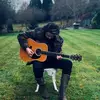 Tom Byrom - @tombyrommusic - TikTok