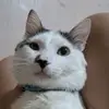 Dita - @tom.cabral.22 - TikTok