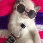 Tom Caesar - @tom.caesar - Instagram