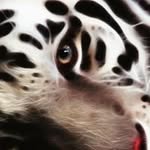 Tom Caesar - @digocaesar69 - Instagram