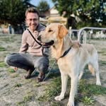 Tom Caesar - @tcaesar_ni - Instagram