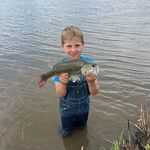 Tom Caffrey - @tom.caffrey.988 - Instagram