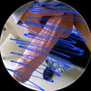 Tom Cage499 - @tom.2o.o1 - TikTok