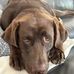 Tom Cail - Facebook
