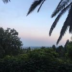 Tom - @tom.caine - Instagram