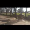 Tomas Calabro - @tomascalabro - TikTok