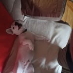 Tom Calhoun - @calhountom - Instagram