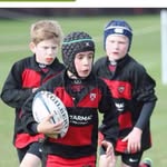 Tom Calloway - @tom_calloway123 - Instagram