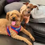 ともきおの日々 - @tom_camera_box - Instagram