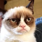 TomBlue27 - @tomcamera27 - Instagram