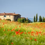 La campagna di Tom - @lacampagnaditom - Instagram