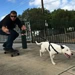 Rocco Tom Campagna - @roccotomcampagna - Instagram