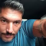 @canarytomy - Instagram