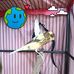 Tom Canary - Facebook