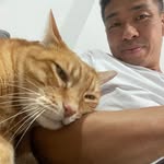 Toru Mi - @canarytomi - Instagram