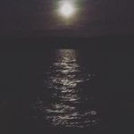 Tom Cann - @thomascann - Instagram