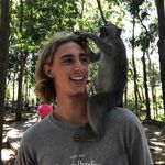 Tom Cantwell - @tom.cantwell.94 - Instagram