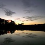 Tom Carmichael - @tomcarmichael - Instagram