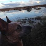 Tom Casey - @tomcasey07 - Instagram