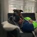 Tom Cashman - Facebook