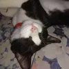 Kim Tom Cassano°° - @kim.tom.cassano - TikTok