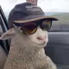 TommyCastillo_ - @tommycastillo_ - TikTok