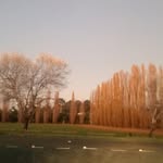 Tom caton - @caton.tom - Instagram