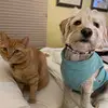 Tom&Cecil - @tomandcecil - TikTok