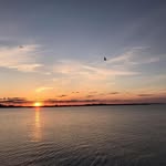 Tom Chamberlin - @chamberlin1965 - Instagram