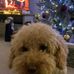 Tom Charley - Facebook