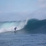 Tom Charter - @tomcharter8 - Instagram