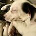 Thomas Chism - Facebook