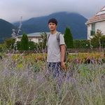 Tom Chiu - @chiu.tom - Instagram