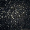 Tom Chiu - @2147017030 - TikTok