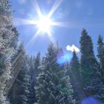 Tom Chiu - @tom.chiu2023 - Instagram