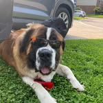 Tom chute - @tom_chute67 - Instagram