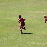 Tom Clements - @tomclements12345 - Instagram