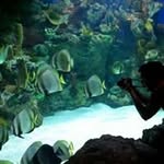 Tom Click - @tomclick123 - Instagram