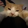 Tom-goes-click - @tomgoesclick - TikTok