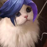 Tom Coffman - @tomcoffman37452 - Instagram