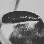 @tom_colby1 - Instagram